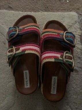 Steve Madden Multicolor Embroidered Platform Slides